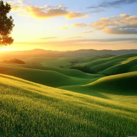 Rolling Hills Sunset Landscape