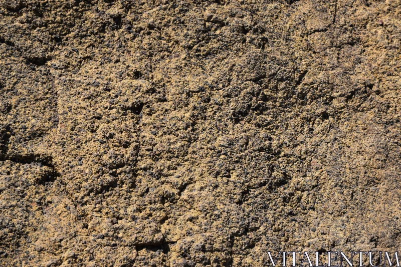 Intricate Rock Texture Free Stock Photo