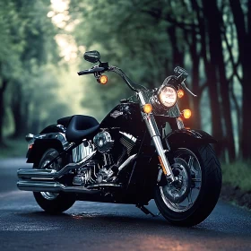 Motorcycle on Asphalt Road