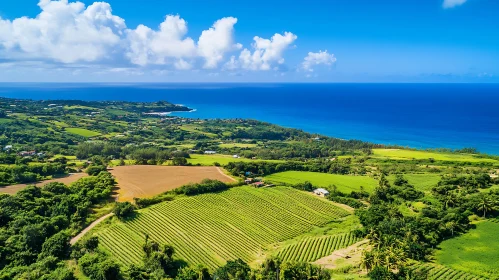 Lush Fields Meet the Ocean