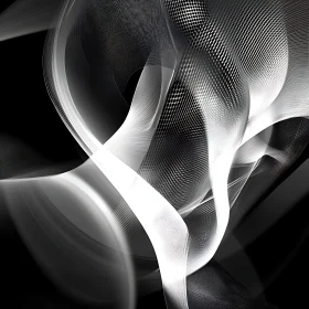 Black and White Abstract Swirl