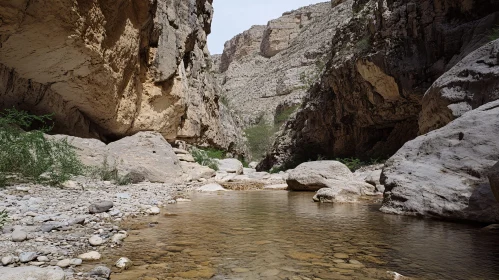 Scenic Canyon with Flowing Stream