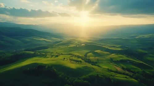 Rolling Hills Landscape with Sunlight