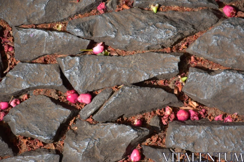 PHOTO Textured Stones with Pink Petals