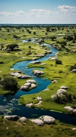Captivating Stream in a Grassy Plain - African Influence | National Geographic Photo