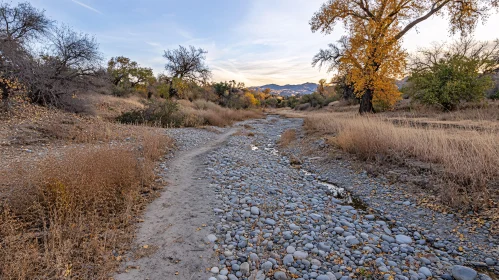 Tranquil Dry Riverbed in Autumnal Nature Setting