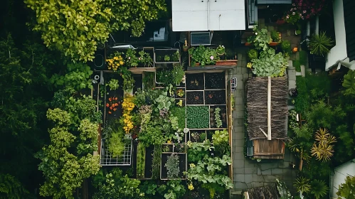 Lush Green Garden from Above