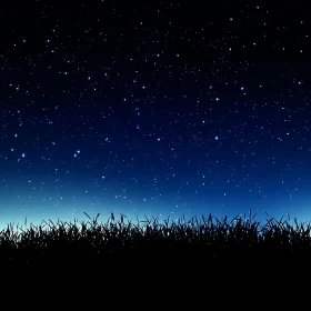 Peaceful Night Sky with Grass Silhouette