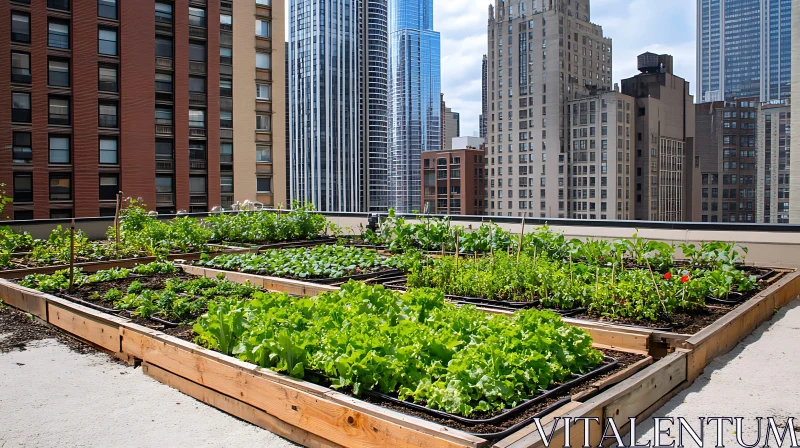 AI ART Green Oasis: Rooftop Garden in the City