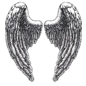Monochrome Feathered Wings Drawing