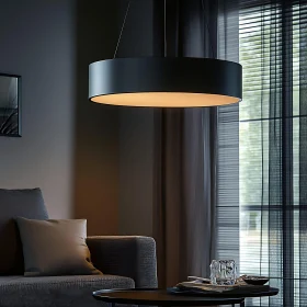 Contemporary Living Room with Lamp