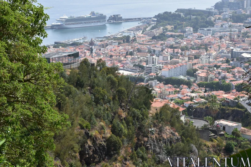 Madeira's Lush Urban and Harbor Landscape Free Stock Photo