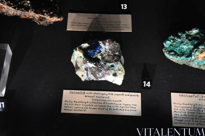 PHOTO Geological Mineral Specimen Showcase