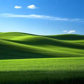 Serene Green Field Landscape