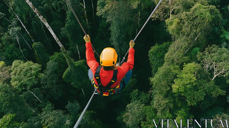 Aerial View: Zipline Adventure in Green Forest