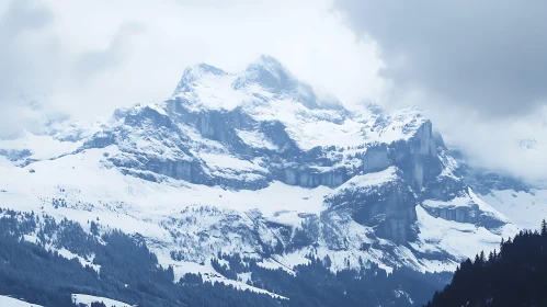 Winter Mountain Landscape with Snow