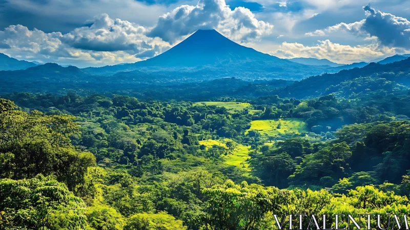 Lush Green Forest and Majestic Mountain