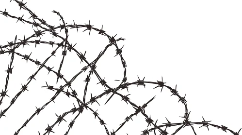 Abstract Barbed Wire Composition