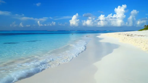 Tranquil Beach Scene with Blue Sky