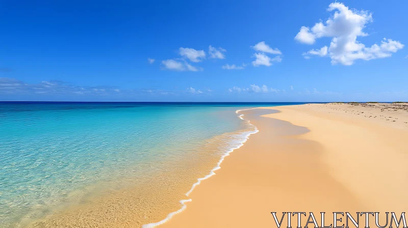 AI ART Coastal Beach View with Clear Blue Sky