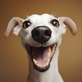 Cheerful Dog Portrait Against Beige Background