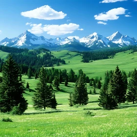 Green Hills and Snowy Peaks Panorama