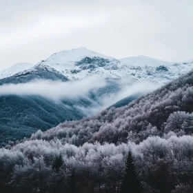 Snowy Peaks and Frozen Forest