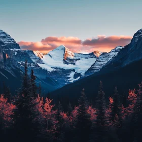 Snowy Peaks and Forest View