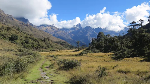 Tranquil Mountain Valley Landscape