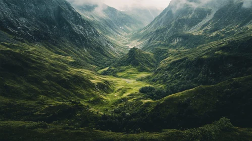 Verdant Mountain Valley Landscape View