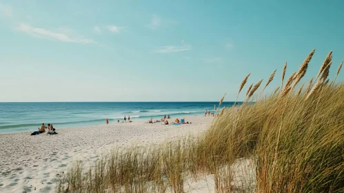 Tranquil Summer Day at the Beach