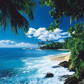 Seaside Paradise: A Tropical Beach View