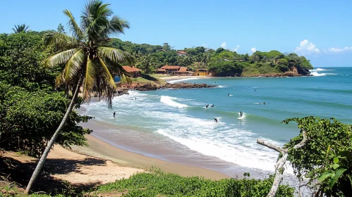 Tropical Beach and Surfing Paradise