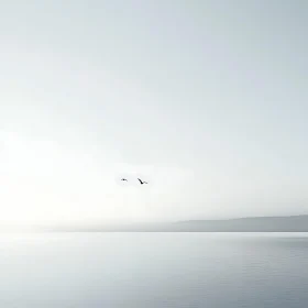 Birds Flying Over Calm Sea