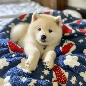 Cute Fluffy Puppy Resting Indoors