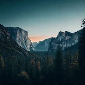 Serene Mountain Forest Vista