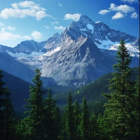 Lush Forest and Mountain Landscape