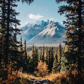 Snowy Mountain Peaks and Forest Scenery