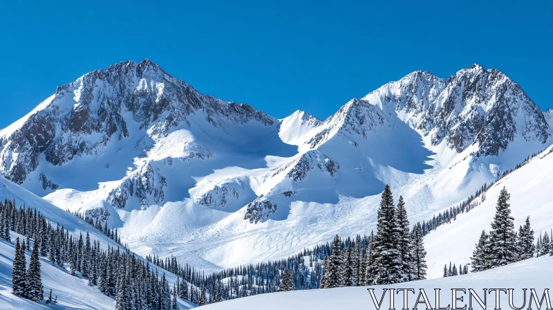 Winter Mountains Landscape With Evergreen Trees