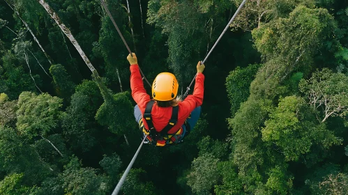 Aerial View: Zipline Adventure in Green Forest