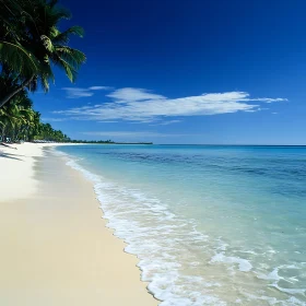 Tropical Beach Paradise
