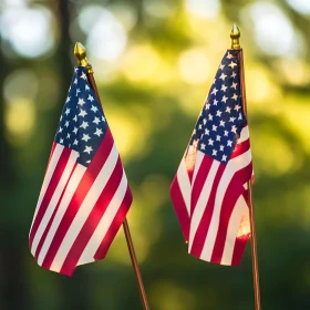 Stars and Stripes Forever