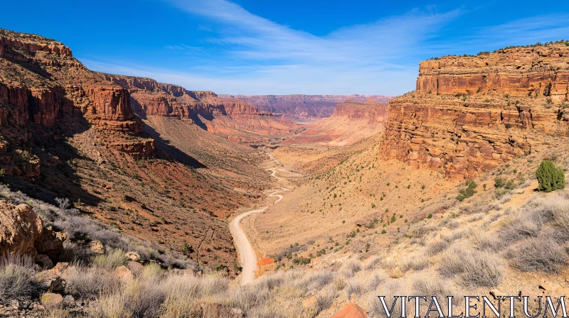 Grand Canyon Landscape Photography