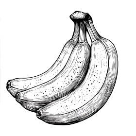 Detailed Banana Sketch