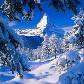 Winter Mountain Scenery with Snow Covered Trees