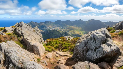 Mountain Vista with Cloudscape