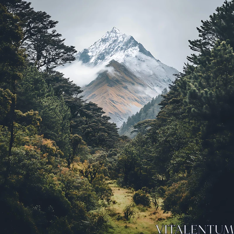 Mountain View Through Dense Forest AI Image