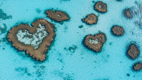 Romantic Heart Reef Formation