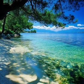 Coastal Beach View with Clear Water