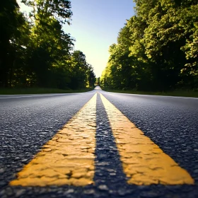 Road Perspective Through Green Forest